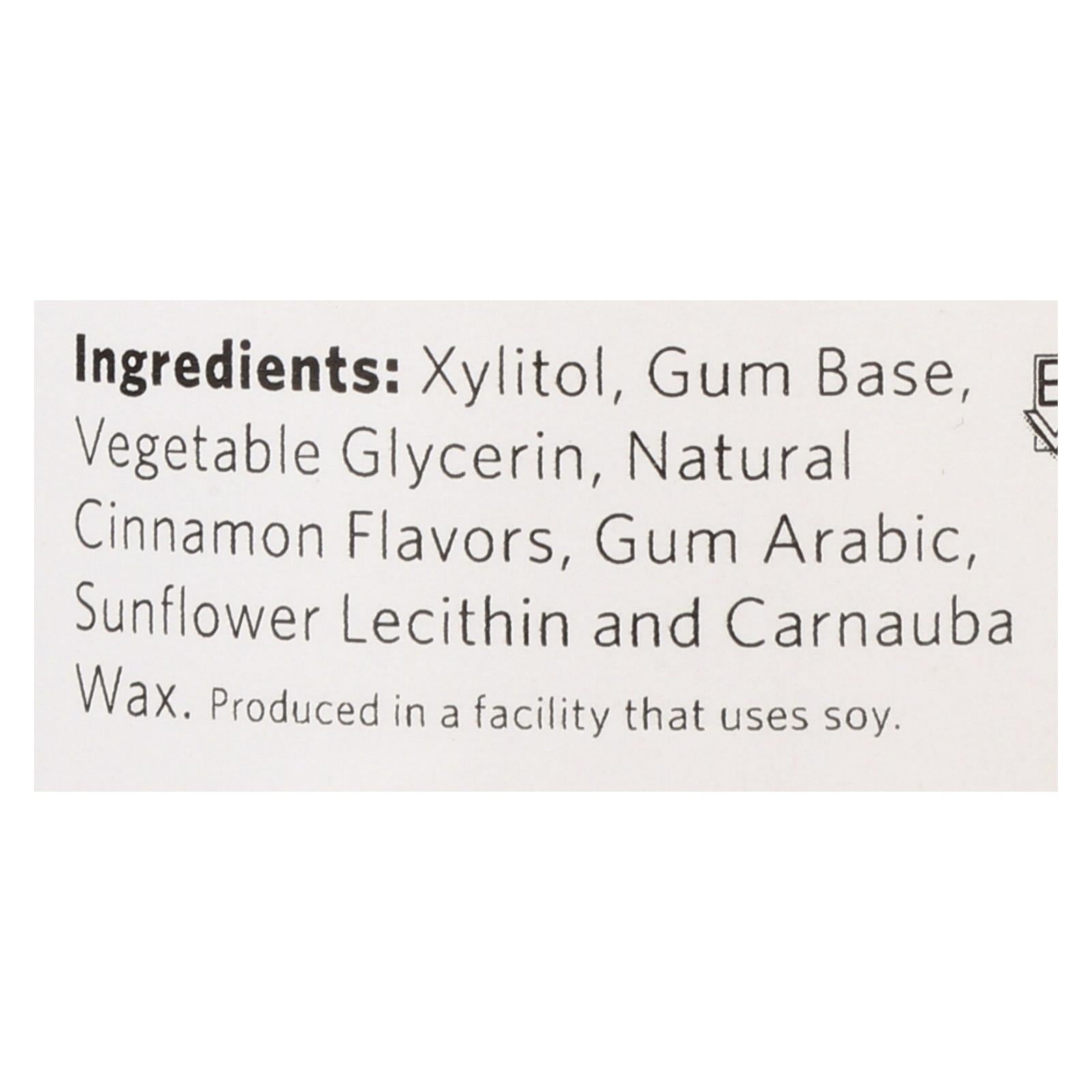 Xylichew Gum - Cinnamon - Jar - 60 Pieces - 1 Case - Maras Green