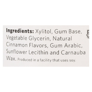 Xylichew Gum - Cinnamon - Jar - 60 Pieces - 1 Case - Maras Green