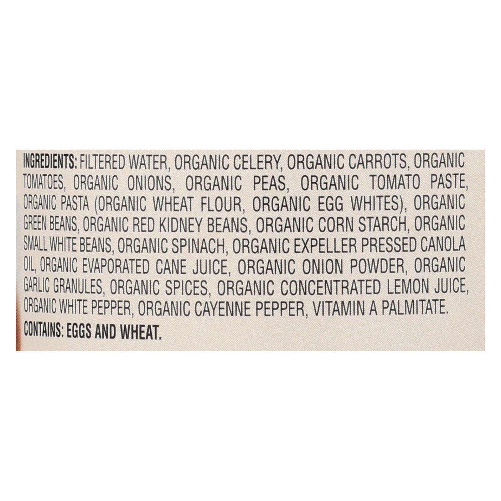 Health Valley Organic Soup - Minestrone No Salt Added - Case Of 12 - 15 Oz. - Maras Green