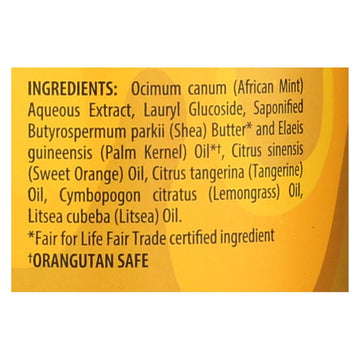 Alaffia - African Black Soap - Tangerine Citrus - 32 Fl Oz. - Maras Green
