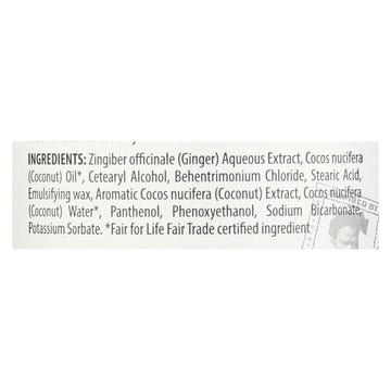 Alaffia - Everyday Conditioner - Coconut And Ginger - 32 Fl Oz. - Maras Green