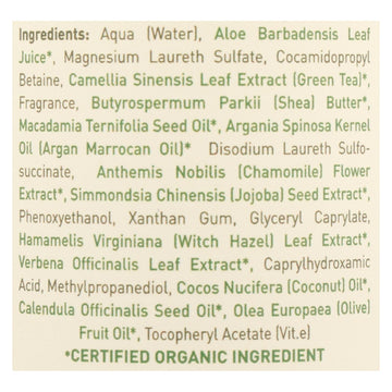 Ecolove - Shampoo Nut Int Cr Srt Hair - 1 Each - 17.6 Oz - Maras Green