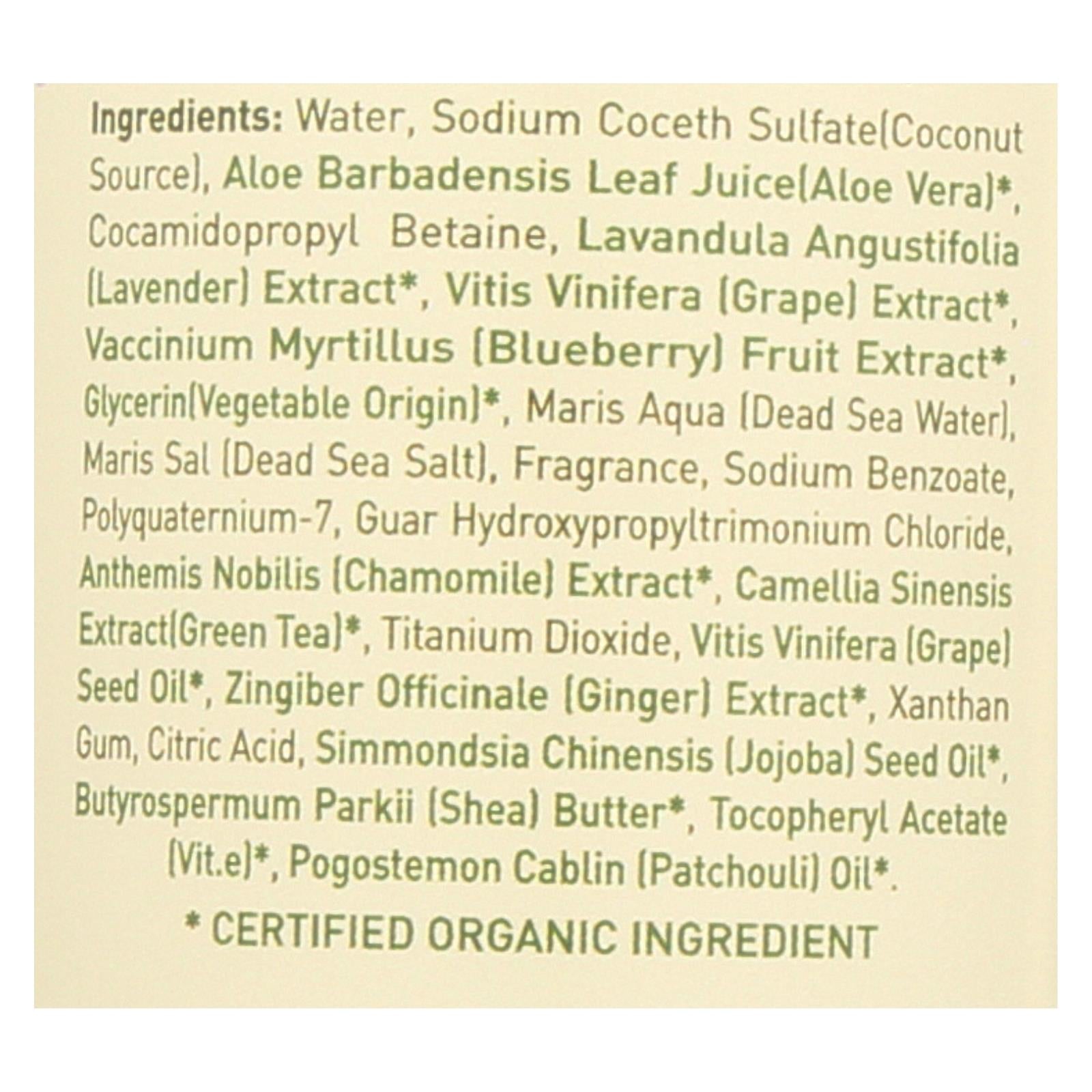 Ecolove Shampoo - Purple Fruit Shampoo For Colored And Very Dry Hair - Case Of 1 - 17.6 Fl Oz. - Maras Green