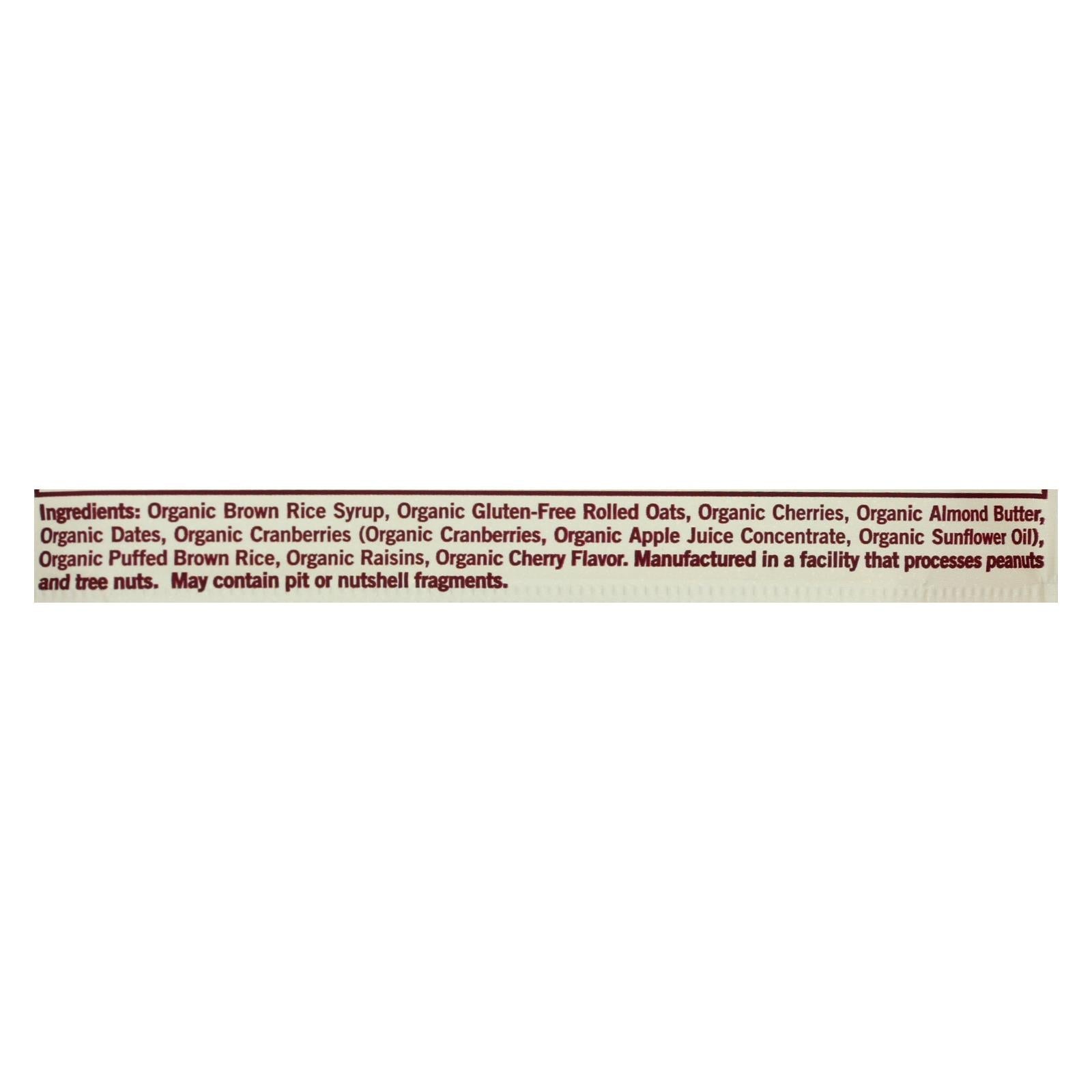 Gomacro Organic Macrobar - Cherries And Berries - 2 Oz Bars - Case Of 12 - Maras Green