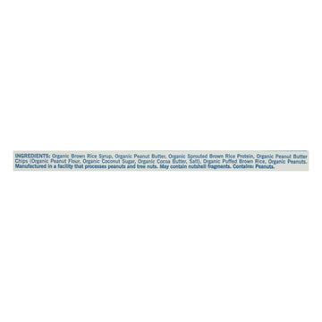 Gomacro Organic Macrobar - Peanut Protein - 2.3 Oz Bars - Case Of 12 - Maras Green