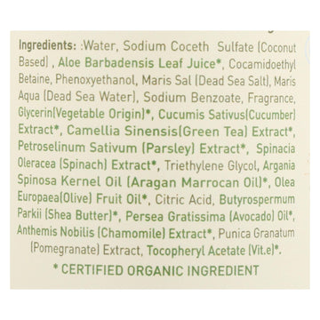 Ecolove Body Wash Green Vegetables Family Shower Gel For Ages 6 Months And Up - Case Of 500 - 17.6 Fl Oz. - Maras Green