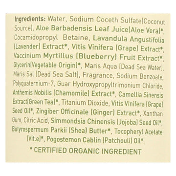 Ecolove Shampoo - Purple Fruit Shampoo For Colored And Very Dry Hair - Case Of 1 - 17.6 Fl Oz. - Maras Green