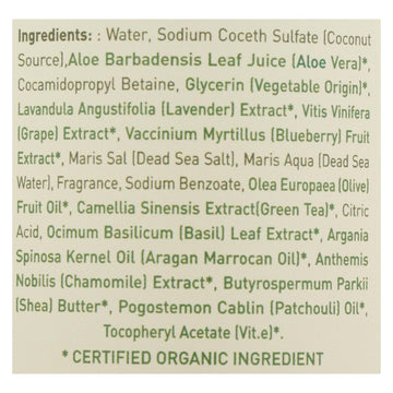 Ecolove - Shower Gel Purple Fruit - 1 Each - 17.6 Fz - Maras Green